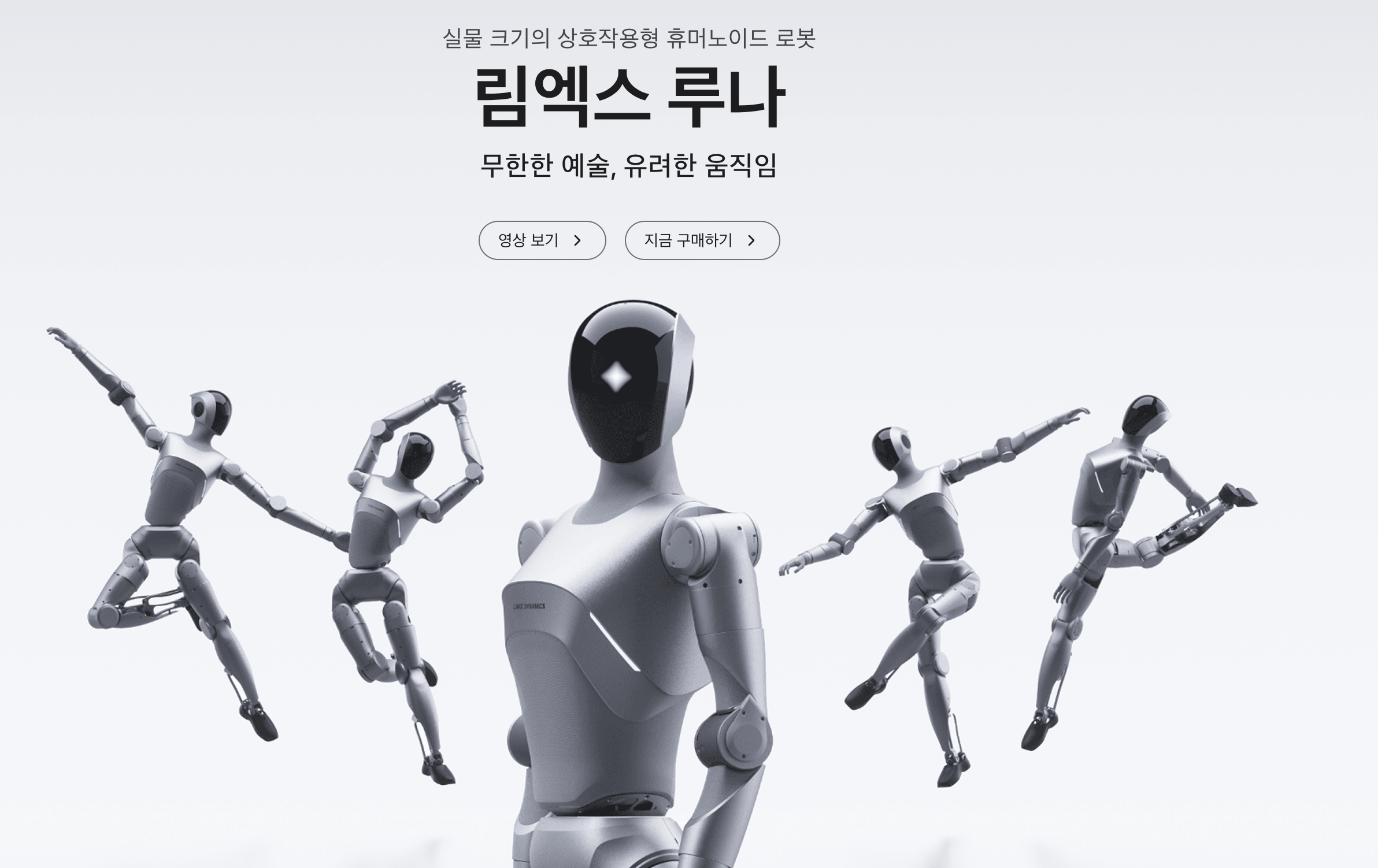 LimX Dynamics 휴머노이드 로봇 루나